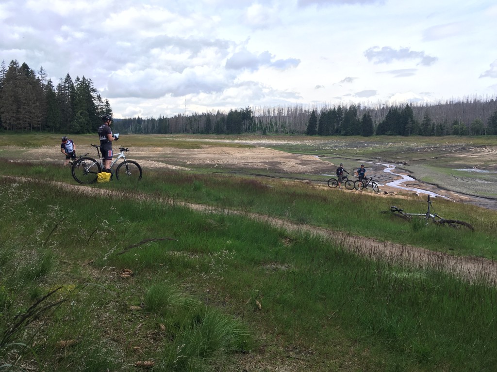 Singletrail thale
