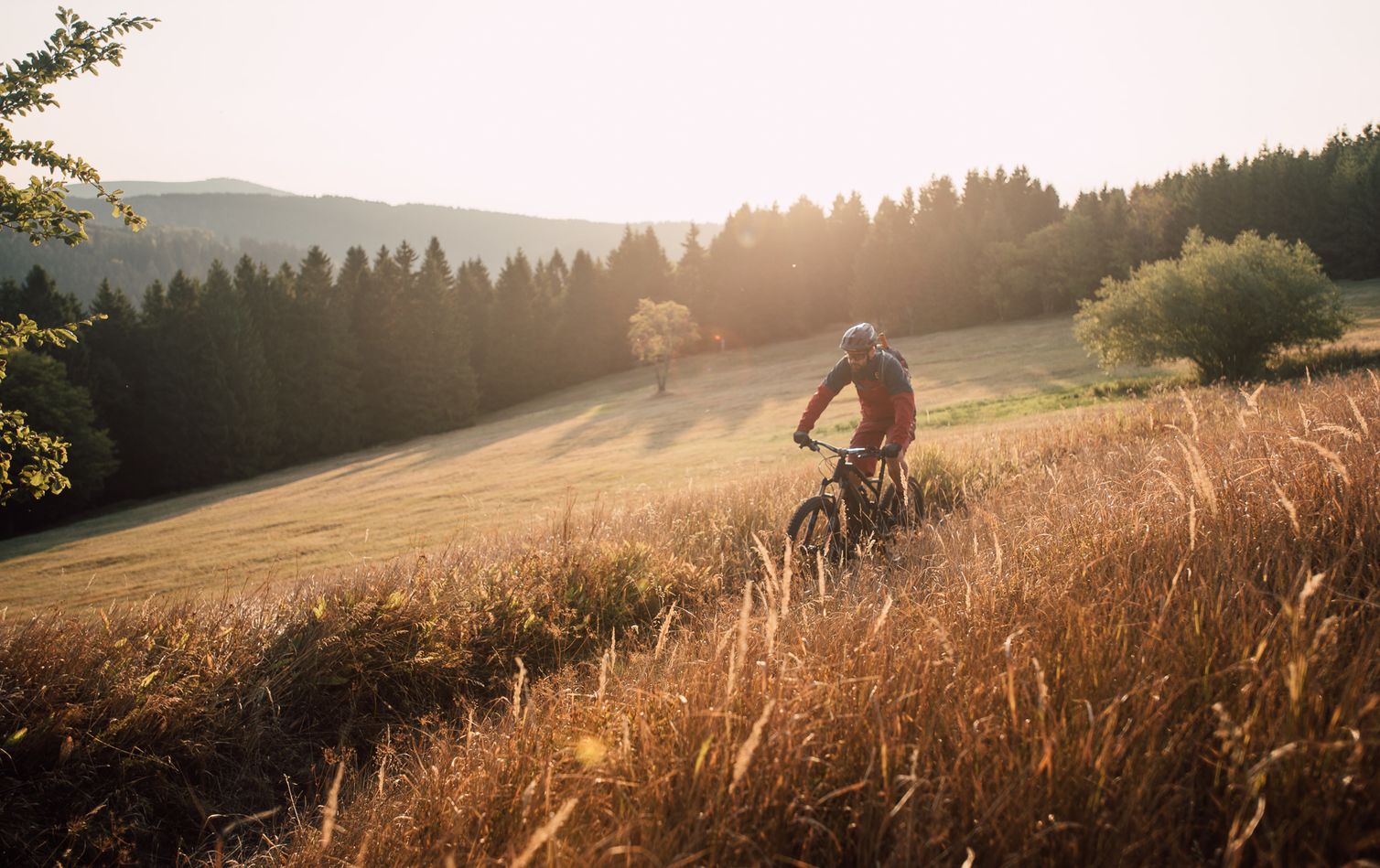 ein mountainbiker fährt über einen wiesentrail im harz