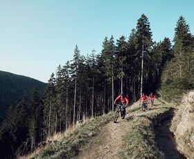 zwei ebiker auf schönem trail im harz