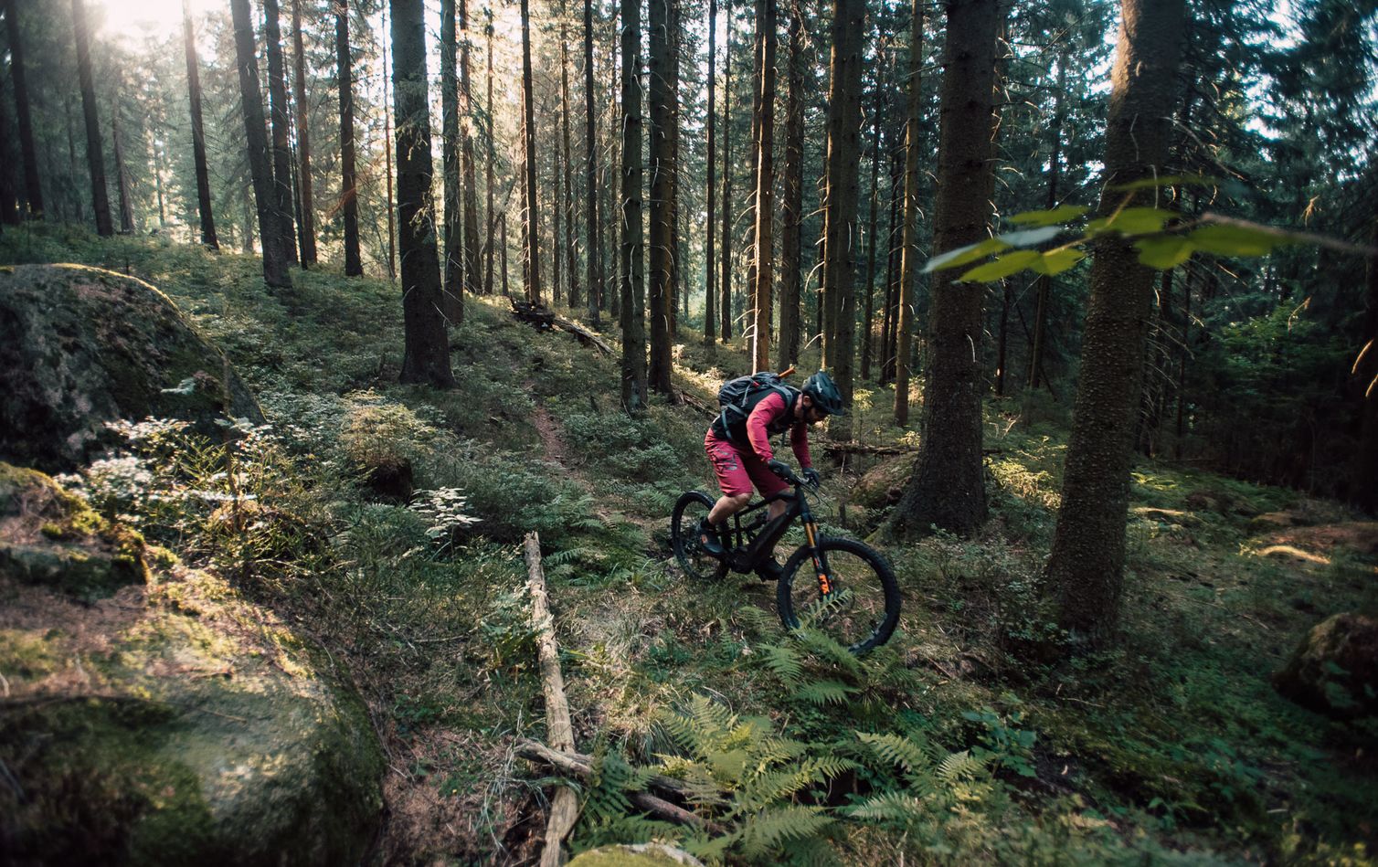 mountainbiker mit emtb auf einem trail im wald