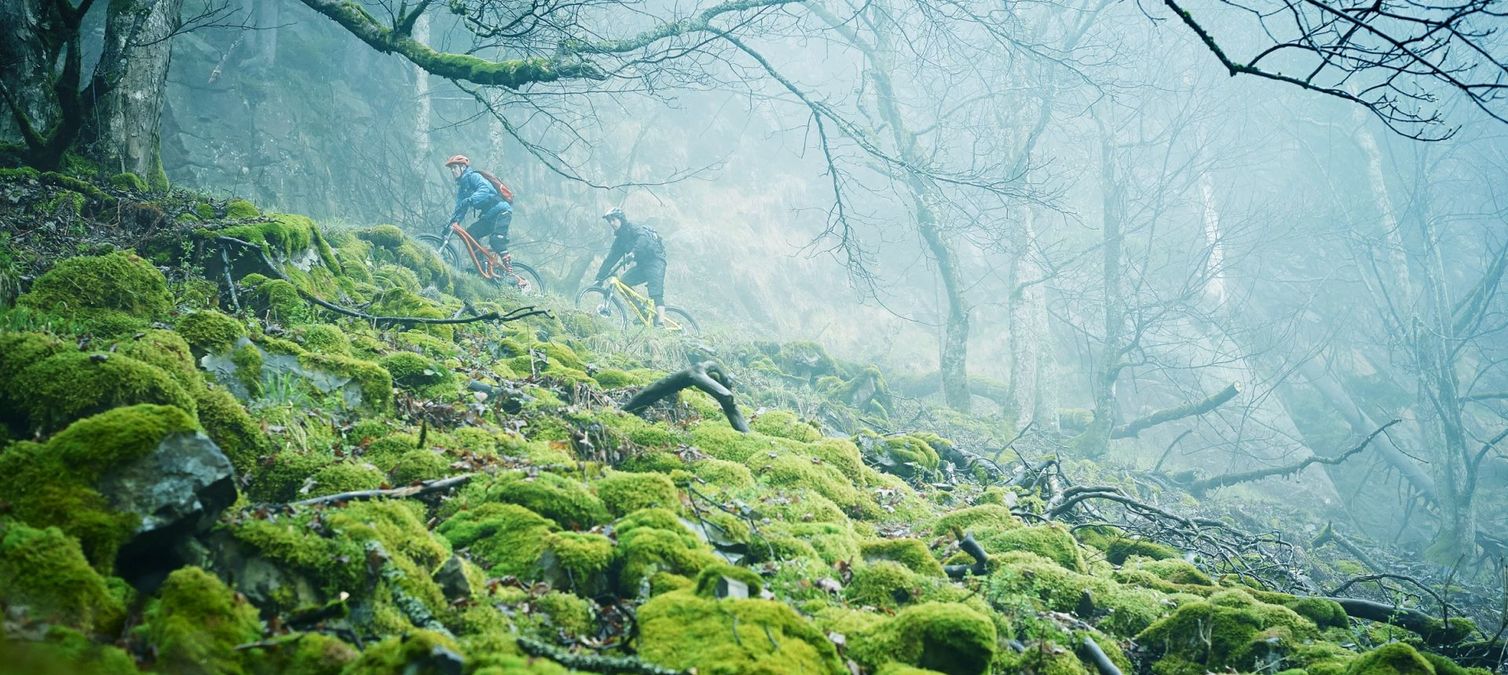 zwei mountainbiker im nebel auf schmalem trail