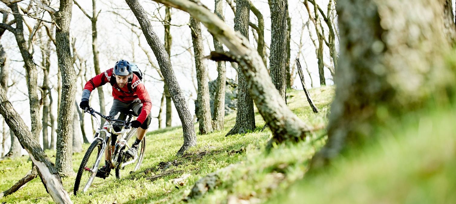 mountainbiker fährt zwischen den bäumen bei ilsenburg