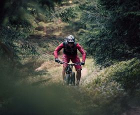 ein mountainbiker fährt zwischen dichten fichten im harz