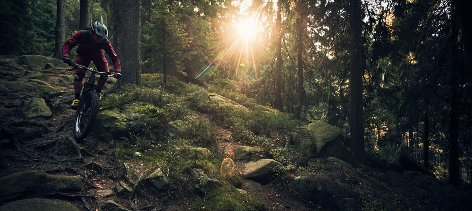 ein mountainbiker auf technischem trail im wald