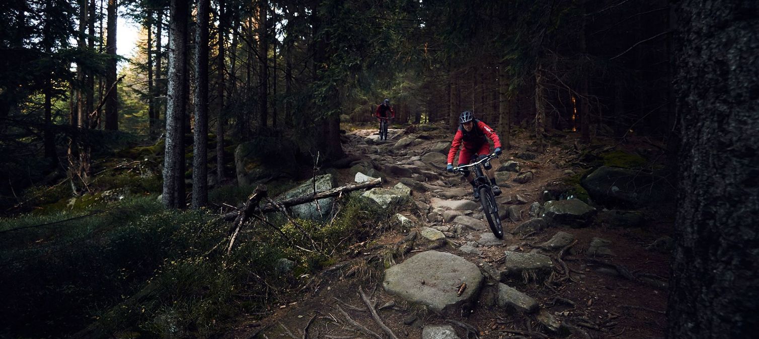 zwei mountainbiker auf dem pfarrstieg bei schierke
