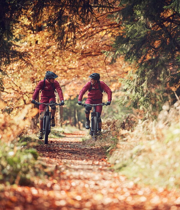 Mountainbiker auf einem Trail im Harz