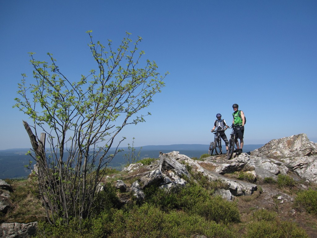 "Auf dem Acker", Harz