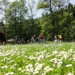Mountainbiketour im Harz