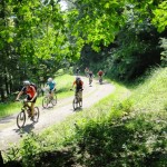 MTB Tour im Harz