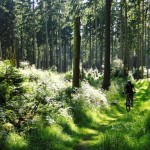 Tourguiding im Harz