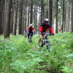 Touren durch den Harz