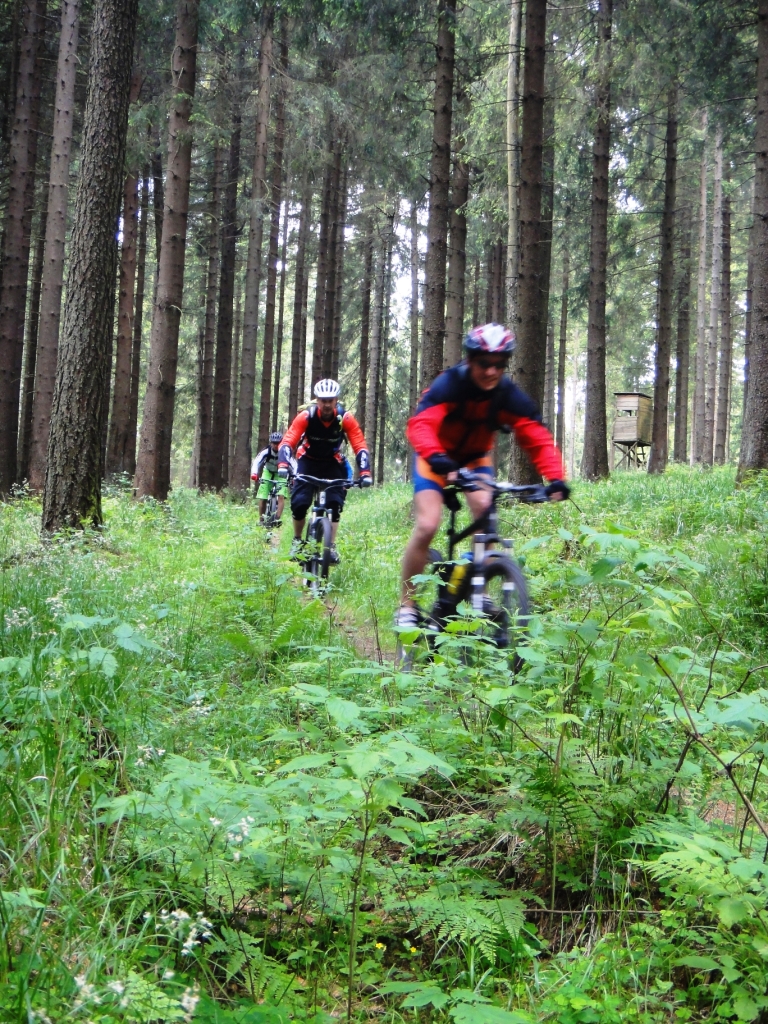 Single track harz