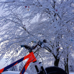 snowride MTB