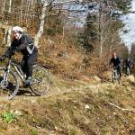 frühling im harz