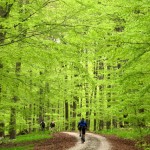 singletrailtour hahnenklee