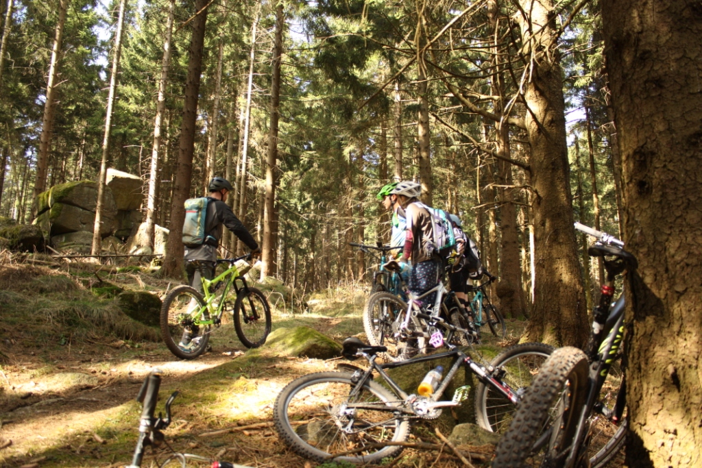 Singletrails im harz