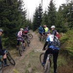 Singletrailspaß im Harz