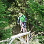 erste Holzelemente