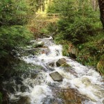 tour durch das siebertal