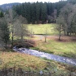 schluftwiesen harz