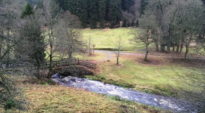 schluftwiesen harz