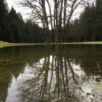 noch mehr wasser