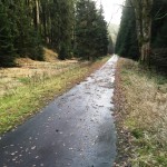 Allee hinab zu den Schluftwiesen