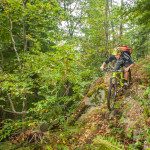 Singletrail Abfahrten im Südharz