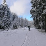 Glashüttenweg bei Schierke