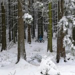 Winterzauber im Nationalpark Harz