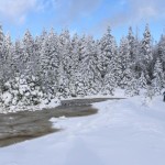 Die alte Glashütte im Nationalpark Harz