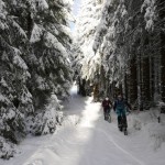 Der Schnee hat den Harz fest im Griff.