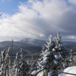 Der Wurmberg