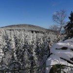 Erdbeerkopf bei Schierke.