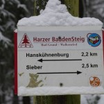 Der Harzer Baudensteig