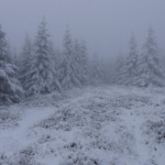 Der Nasse Weg im Harz