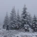 Super Grip und Kontrolle mit den Fatbikes