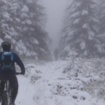 Tiefe Fichtenäste, schwer vom Schnee