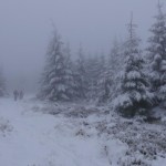 Harzer Trails