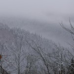Der Nebel zieht herauf.