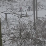 Die ersten Meter im Neuschnee