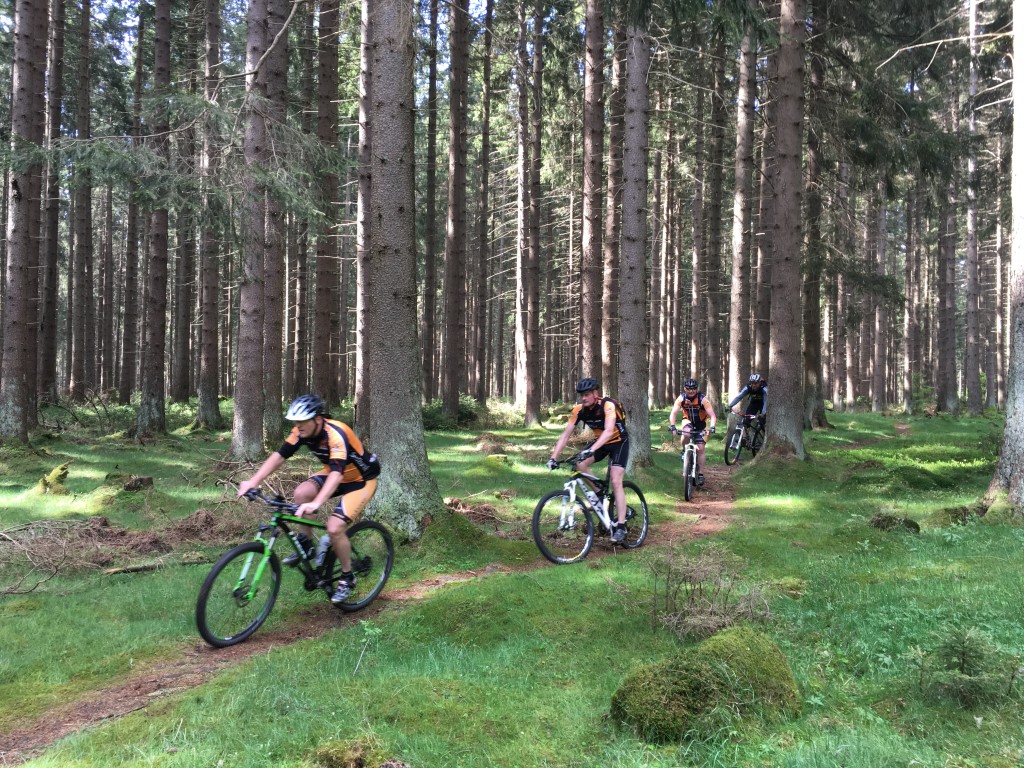 Mountainbike singletrails harz