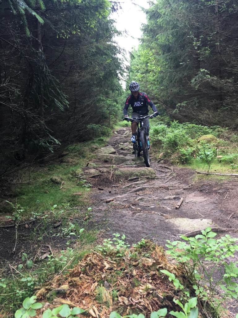 Singletrail touren harz