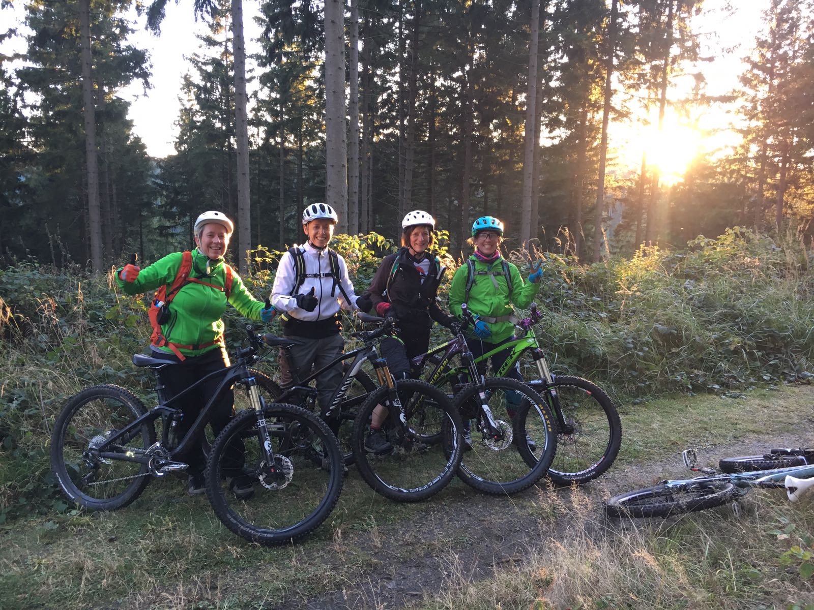 Mountainbike singletrails harz