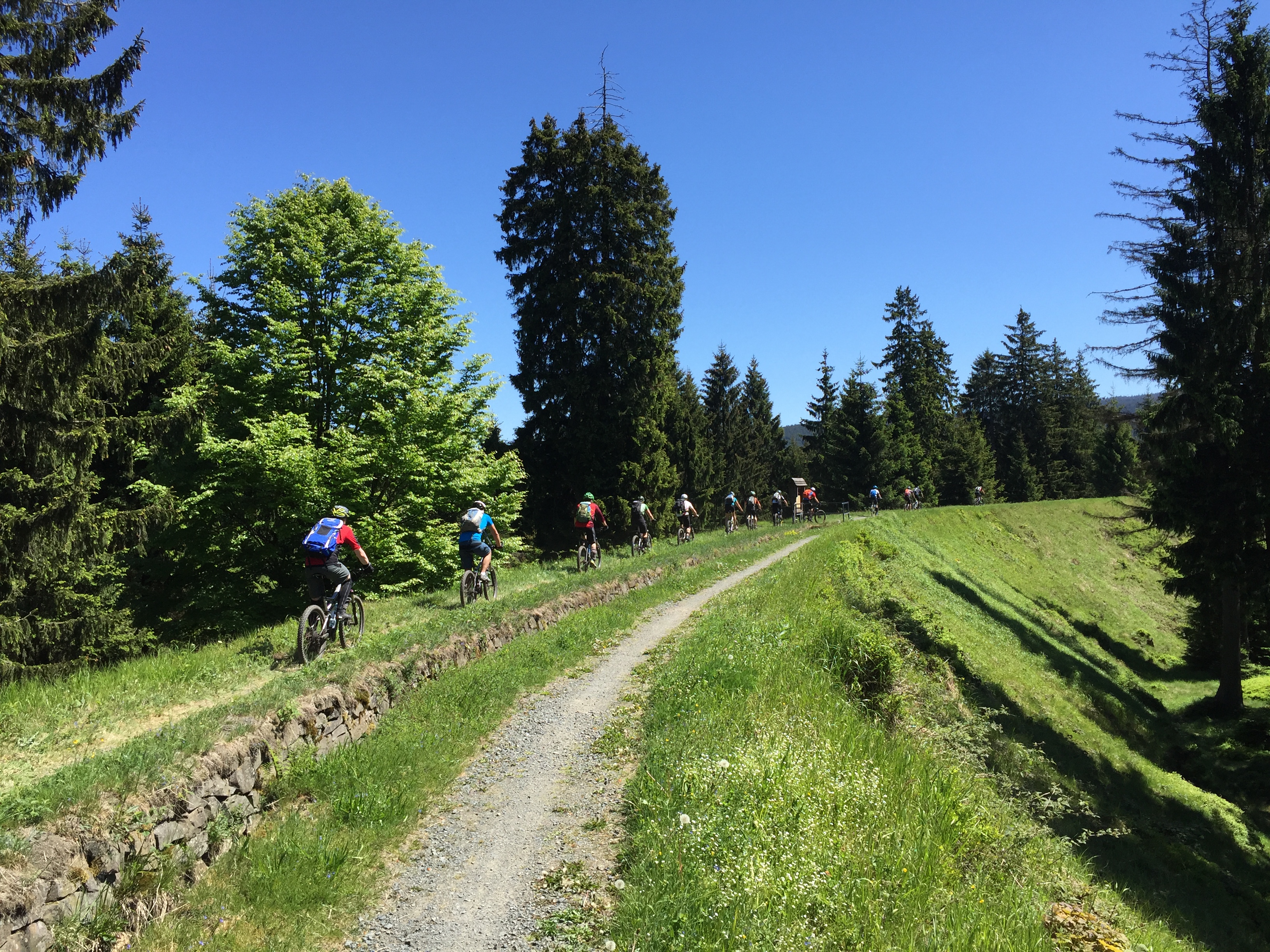 Single trail harz