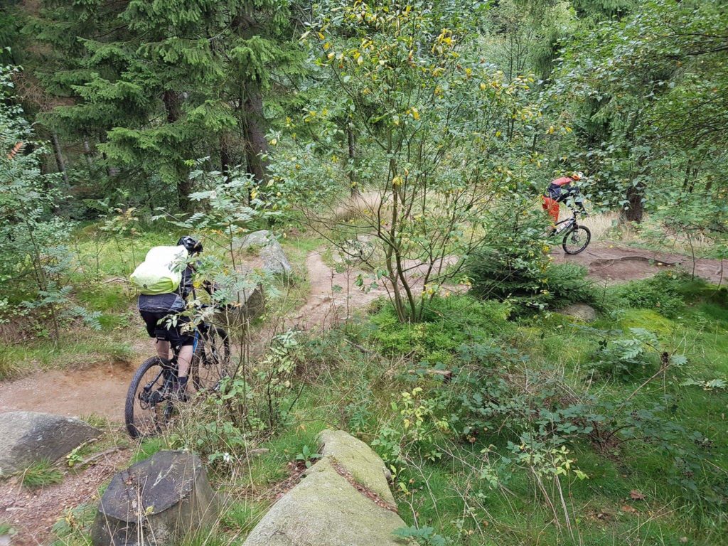 Mountainbike singletrails harz
