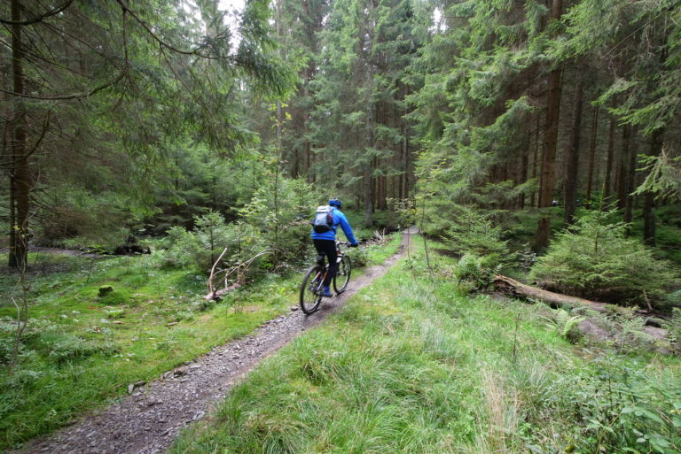 Mountainbike singletrails harz