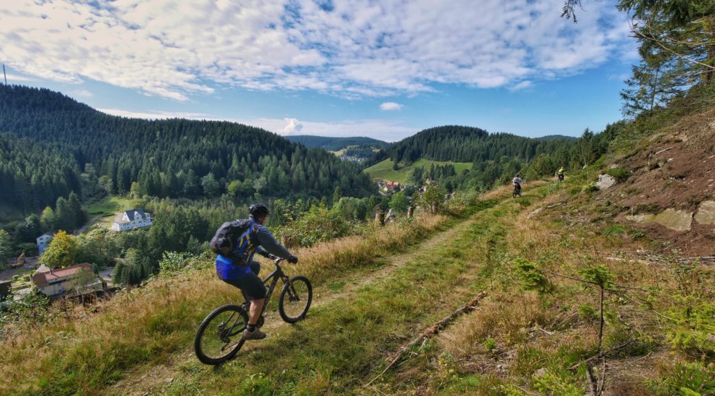 Singletrails im harz