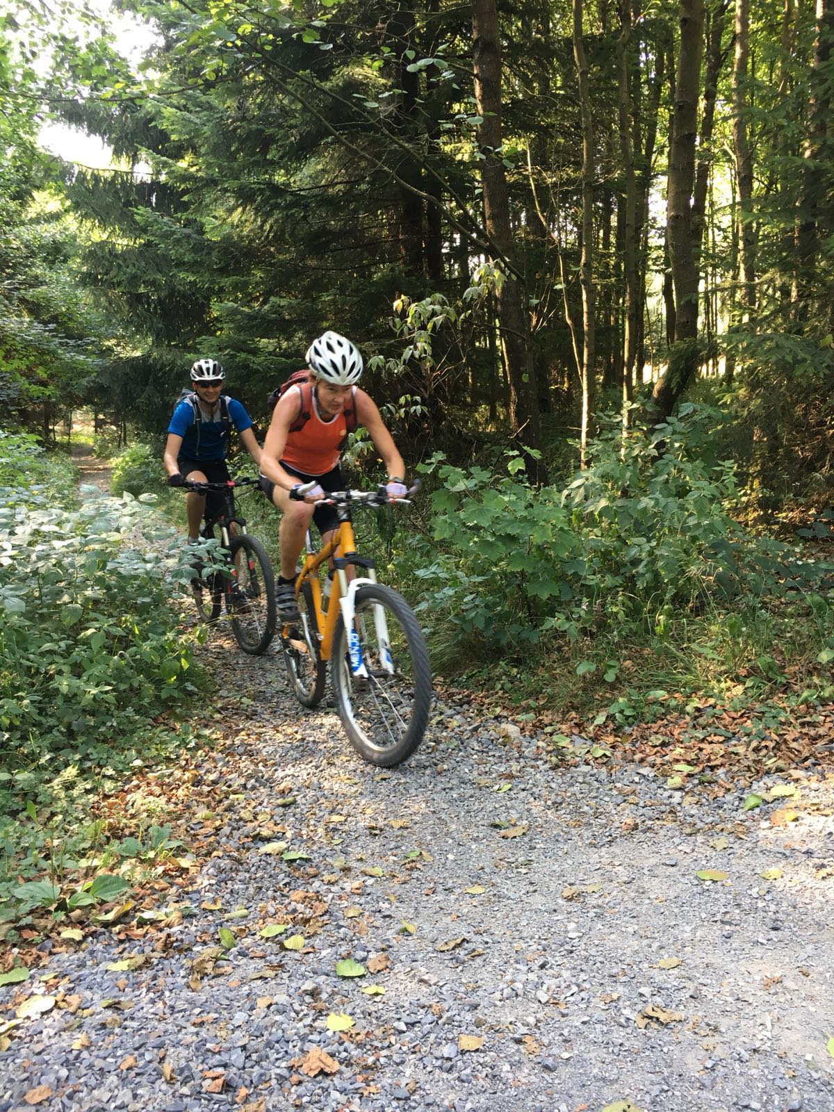 Singletrail harz