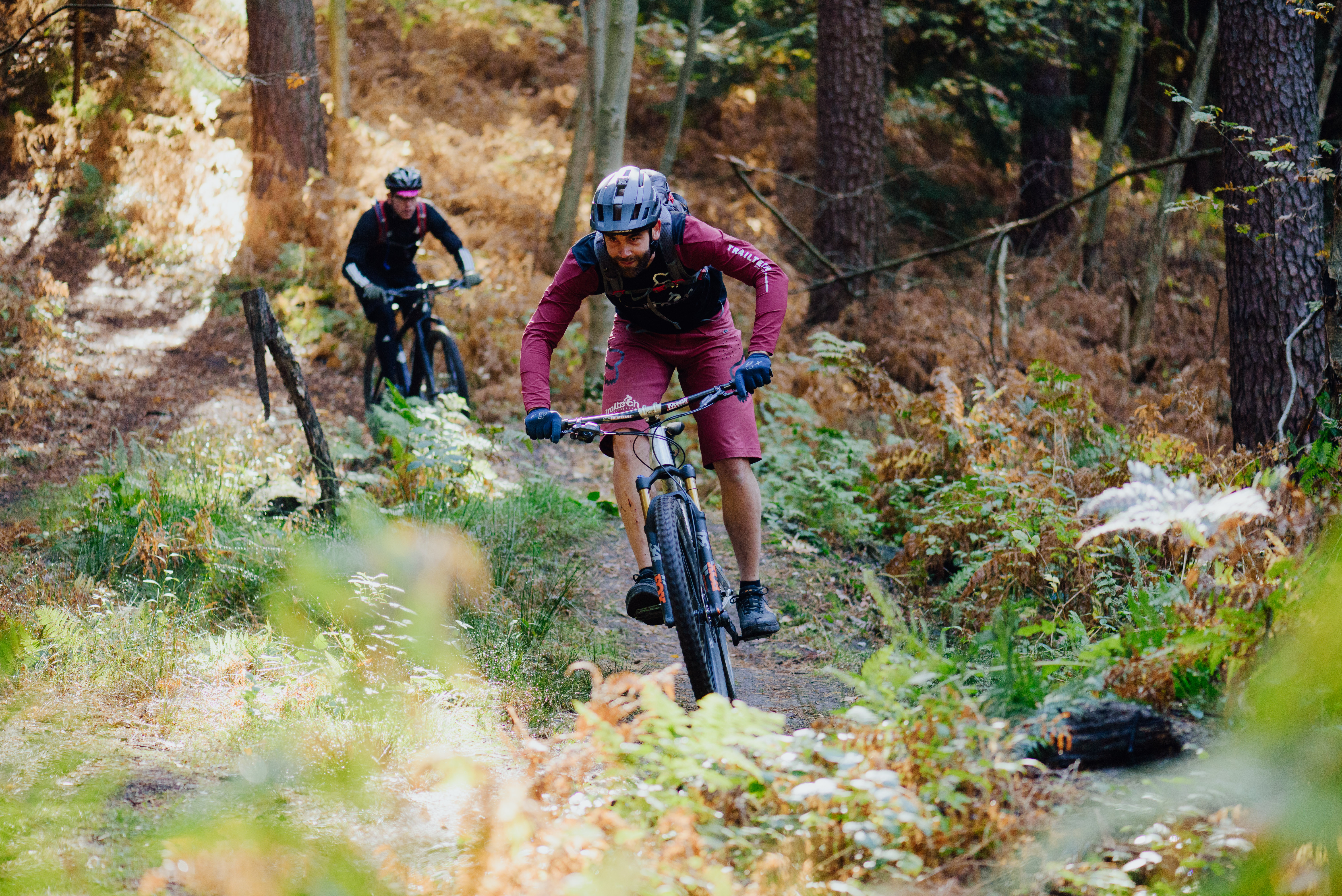 Singletrail harz